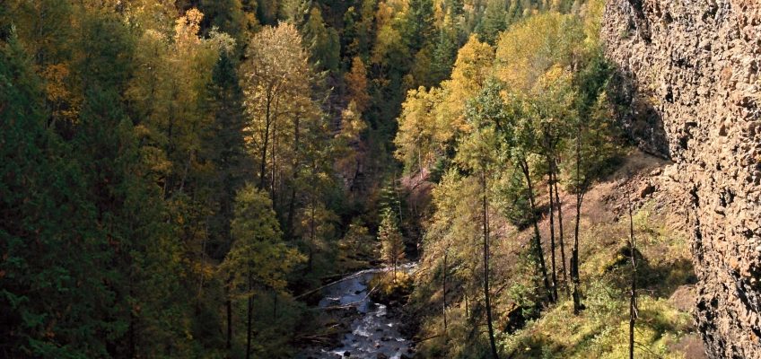 Wells Gray Provincial Park - Aussicht am Moul Falls