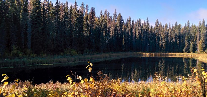 Wells Gray Park Provincial - Alice Lake